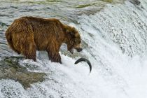 Alaska 06 08 025