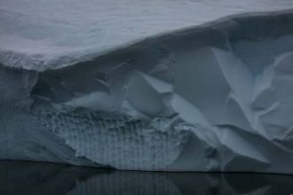 IMG 0012