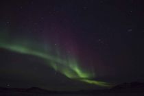 IMG 0013