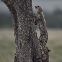 IMG 0029