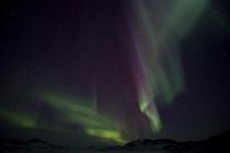 IMG 0032