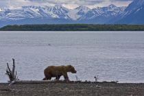 Alaska 06 08 001