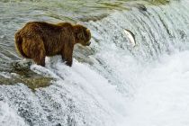 Alaska 06 08 021