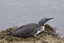 IMG 0045
