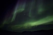 IMG 0020