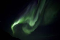 IMG 0028