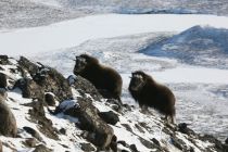 IMG 0054