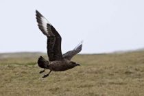 IMG 0061