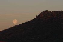 IMG 7576