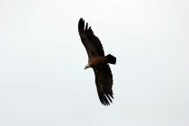 IMG 7902