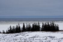 IMG 0002
