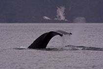 IMG 0015