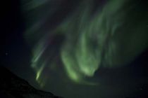 IMG 0030