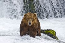 Alaska 06 08 009