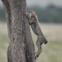 IMG 0026