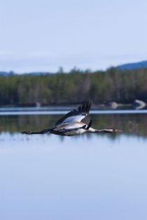 IMG 0031
