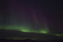 IMG 0011