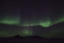 IMG 0012