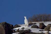 IMG 0023