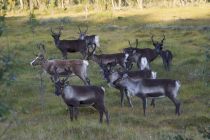 IMG 2330 Kopie 02