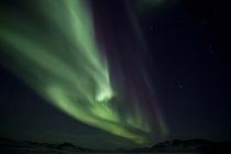 IMG 0031