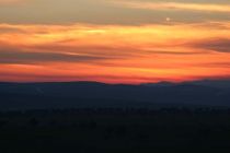 IMG 7705