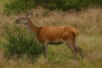 IMG 9873