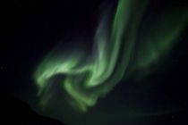 IMG 0027