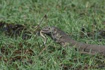IMG 6959