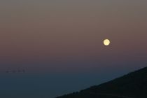 IMG 7526