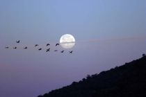IMG 7568