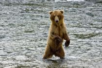 Alaska 06 08 007