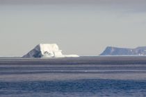 IMG 0045
