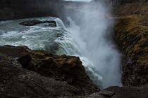 IMG 0007