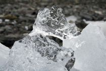 IMG 0029
