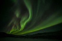 IMG 0008