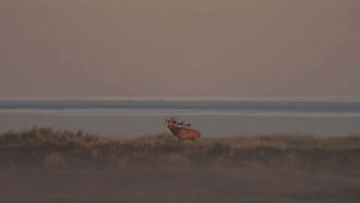IMG 0010