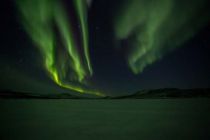IMG 0017