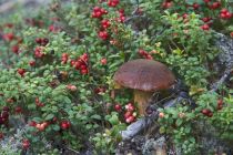 IMG 2078 Kopie