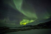 IMG 0002