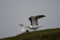 IMG 0027
