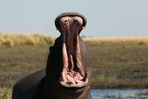 IMG 7757
