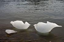 IMG 0006