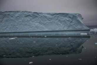 IMG 0009