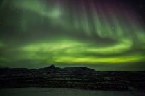 IMG 0018