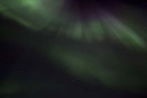 IMG 0022