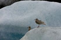 IMG 0024