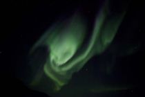 IMG 0025