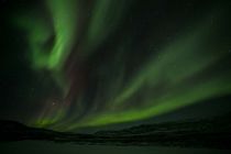 IMG 0006