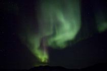 IMG 0037